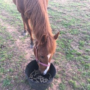 Meet your Posher, Charles